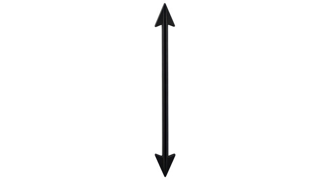 Isolated Vertical Arrow with Two Heads