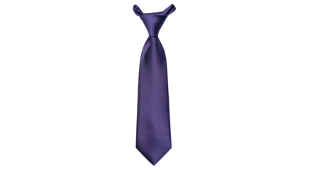 Isolated Purple Tie
