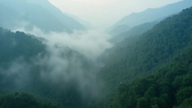 Aerial view of tropical forest with mist in the morning. Top view from drone of beautiful mountain tropical forest during winter in Thailand. Natural landscape background.