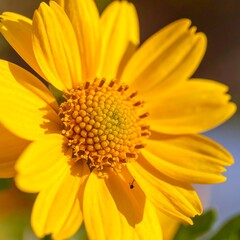Close-up view of a vibrant yellow flower, showcasing intricate details of its petals and center.