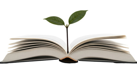 Isolated Book with Plant