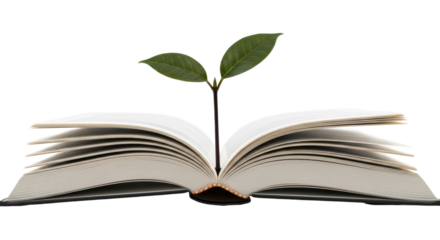 Isolated Book with Plant