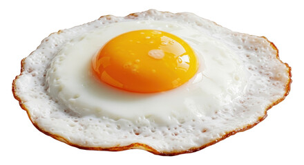 Isolated Egg