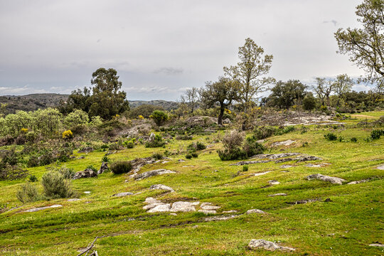 Hiking a walking route at Portalegre, Portugal. Percurso Pedestre de Galegos