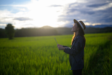 A thoughtful person stands in a green field, gazing upwards, holding a device, bathed in the warm...