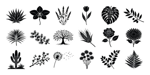 Set of Black Botanical Silhouettes Flowers Plants and Trees