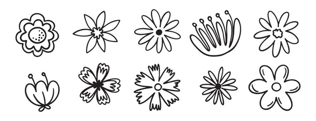 flowers decoration doodle hand drawn icon set. Outline drawing chamomile flower buds line clipart symbol collection. 