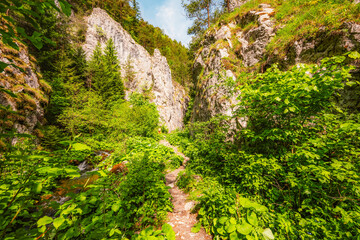 Hiking in Canyon in Prosiecka Valley near Kvacianska valley in Liptov region in northern Slovakia