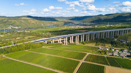 Moselle Viaduct Longuich, vineyard in Mosel valley, bridge of highway crossing river near Trier,...
