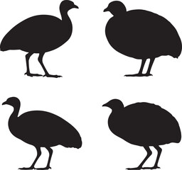 Fototapeta premium Black silhouettes of four birds white avian