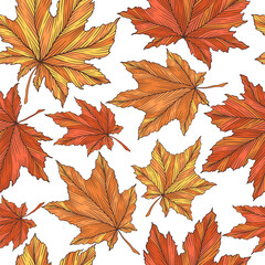 Abstract hand drawn colorful autumn maple leaves seamless pattern. Creative art fall leaf ornament template for fabric print, card. Foliage vector nature illustration isolated on white background