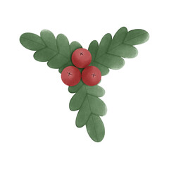 Christmas holly leaves with red berries illustration