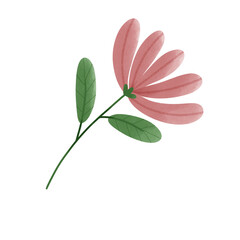 Pink flower illustration with green leaves
