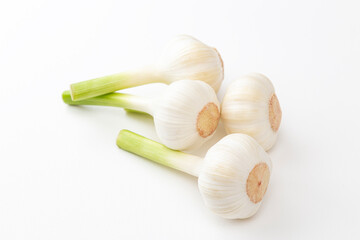 にんにく　白バック