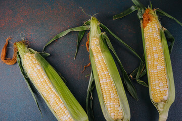 Top view of fresh sweet corn cobs with husks concept for farm produce or healthy seasonal vegetable...