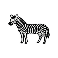 Zebra illustration isolated on white background