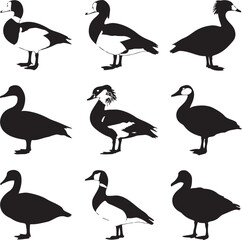Fototapeta premium Black white geese silhouettes birds