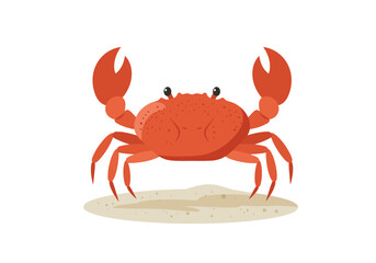 Orange crab with raised claws on beige sand against a white background