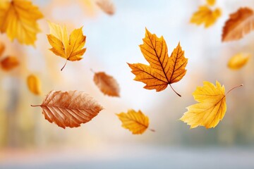 Fototapeta premium Colorful autumn leaves falling from trees in a forest