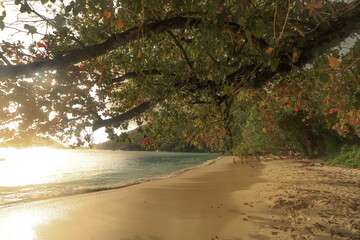 Tropisches Paradies; Strand von Port Launay auf Mahé (Seychellen)