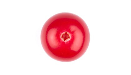 Red berry, top view (1)
