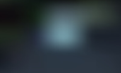 Misty forest path illuminated by soft, diffused light