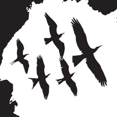 Flock of Birds Silhouettes Flying Against White Background