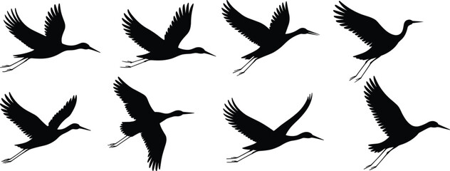 Bird silhouette set, flying bird vector illustration, wildlife graphic design, migratory bird art collection, black and white style, wings in various flight positions