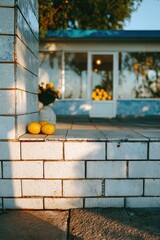 Three lemons on a tiled ledge, sunlit patio