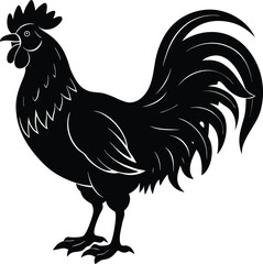 Black Rooster Silhouette Standing Proudly with Detailed Feathers and Comb Design on white background