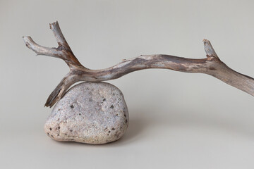 A dry tree branch and stones on a light background. Minimalistic creative composite background for the presentation of cosmetics or products. Front view