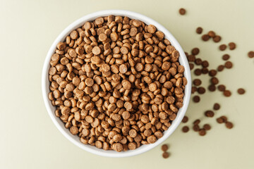 Full bowl of dry dog food with scattered kibbles on beige background