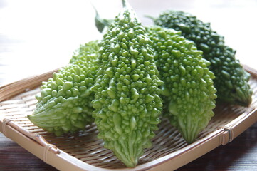 ゴーヤ　ニガウリ　夏野菜　ゴーヤー