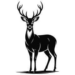 silhouette of a deer