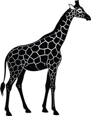 Naklejka premium Elegant Giraffe Silhouette Standing Tall Against a Clean White Background