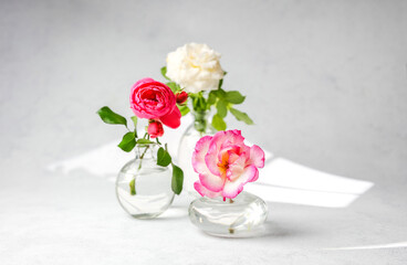 Three roses in glass vases on light background with soft shadow