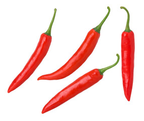 Fresh red chili isolated, transparent PNG, PNG format