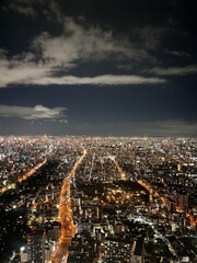 the nightscape of the city