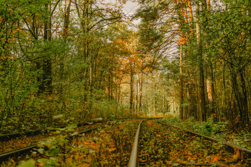 Abandoned railway track through lush forest in autumn
