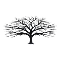 Bare tree with intricate branches artistic minimal style high fidelity monochrome winter isolated nature calm detailed silhouette