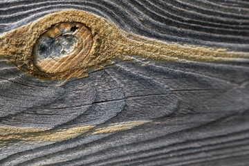 The background is made of old wood. Rustic style wallpaper. Beautiful wood texture pattern.