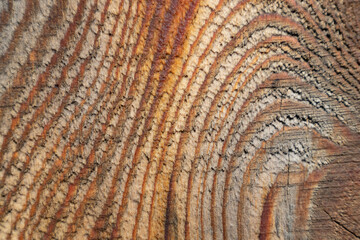 The background is made of old wood. Rustic style wallpaper. Beautiful wood texture pattern.