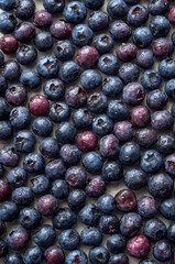 Fresh blueberries background close-up