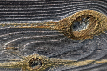 The background is made of old wood. Rustic style wallpaper. Beautiful wood texture pattern.