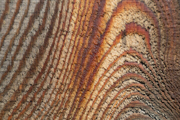 The background is made of old wood. Rustic style wallpaper. Beautiful wood texture pattern.