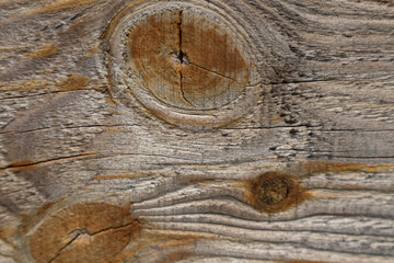 The background is made of old wood. Rustic style wallpaper. Beautiful wood texture pattern.