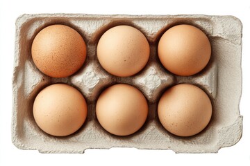 Six eggs in a carton