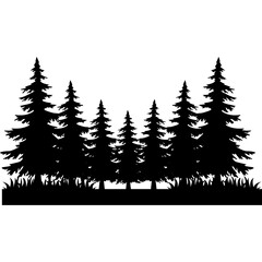 Fototapeta premium Pine Tree Silhouette