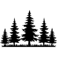 Obraz premium Pine Tree Silhouette