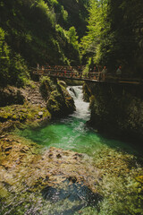 Vintgar Gorge in Slovenia's Julian Alps